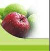 Nature of the prophets diet-picture9.jpg