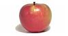 A 2 Z of Fruits-fruit_apple.jpg