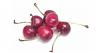 A 2 Z of Fruits-fruit_cherries.jpg
