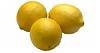 A 2 Z of Fruits-fruit_lemons.jpg