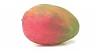 A 2 Z of Fruits-fruit_mango.jpg