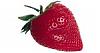 A 2 Z of Fruits-fruit_strawberry.jpg