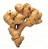 Ginger & its Medicinal Uses-image002.jpg