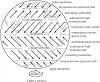 Diagrams Related to Physical Geography-f0154-01.jpg