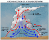Diagrams Related to Physical Geography-43thundercloud.gif