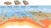 Diagrams Related to Physical Geography-tectonic_plate_boundaries_img_assist_custom-500x277.jpg