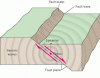 Diagrams Related to Physical Geography-cg011t.gif