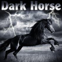 The Dark Horse's Profile Picture