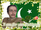 Salman Ali Shinwari's Profile Picture