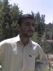 azizlashari's Profile Picture