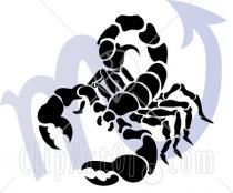 Scorpion86's Profile Picture