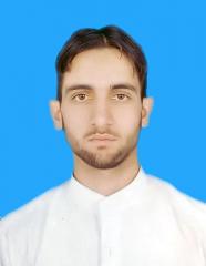 Prince Roghani's Profile Picture